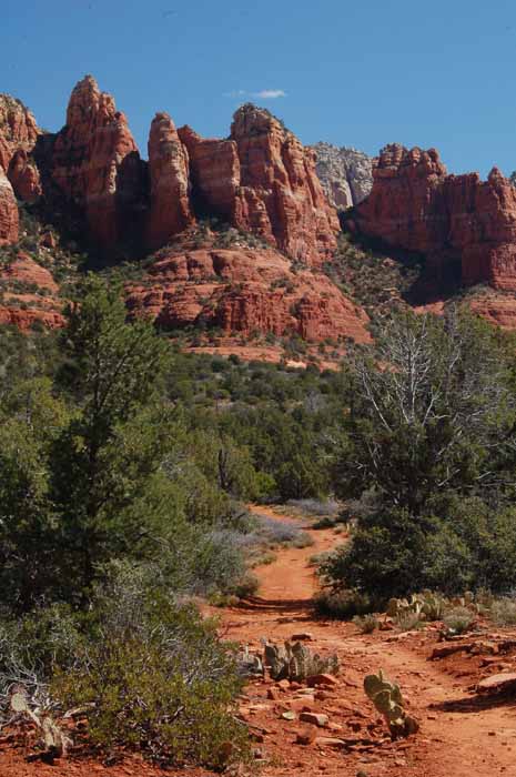 Marg's Draw Trail